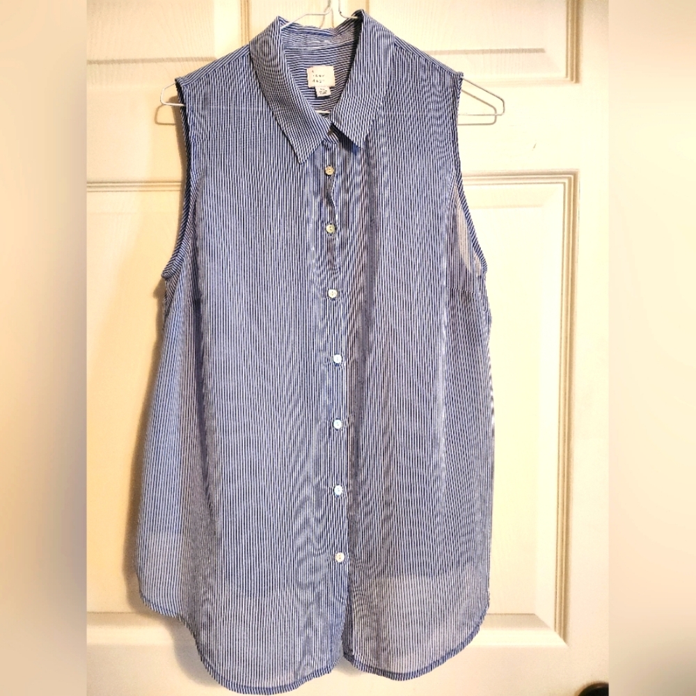 Sleeveless striped button down sheer blouse